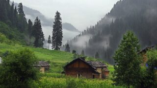 kashmir
