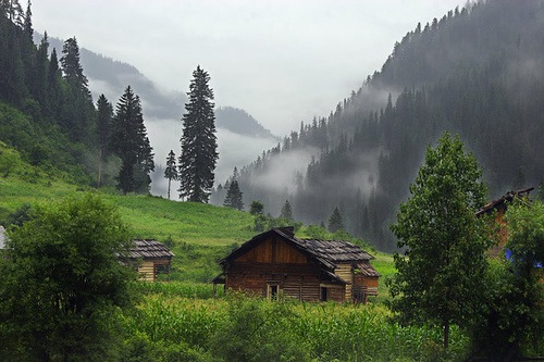 سر زمین کشمیر کو شراب سے محفوظ رکھیں
