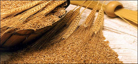 گندم کا ہدف ممکن نہیں