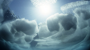 arctic