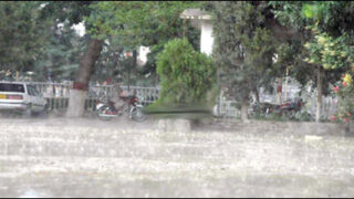 rain