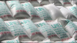 urea
