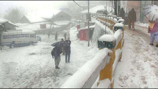 Cold