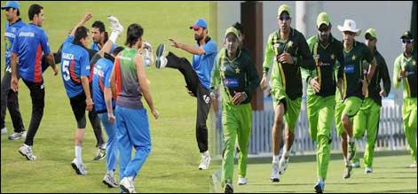 Cricket