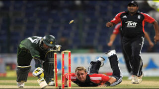 Cricket