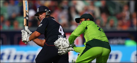 Cricket