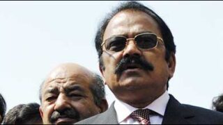 Rana Sana