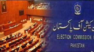 Senate election