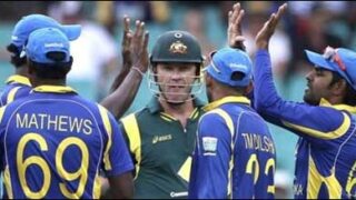 cricket