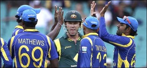 cricket