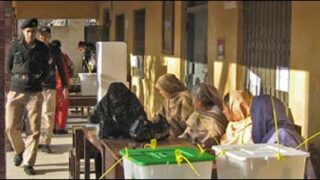election