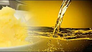 ghee oil