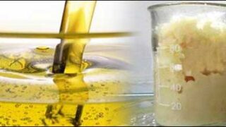 oil ghee
