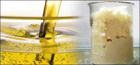 گھی اور کو کنگ آئل کی قیمتوں میں اضافے کا امکان