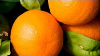 oranges