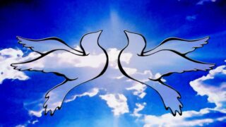 peace pakistan
