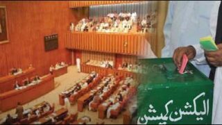 senate election