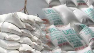 urea
