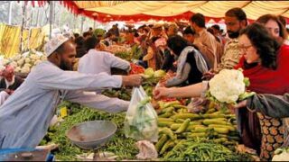 vegitables