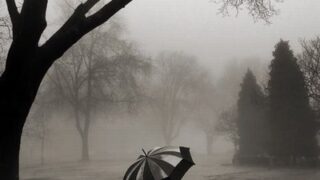 waiting in the rainy day