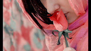Badan Phool