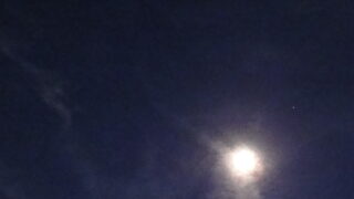 dark night
