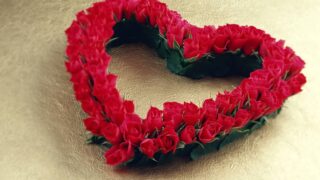Heart shaped red rose
