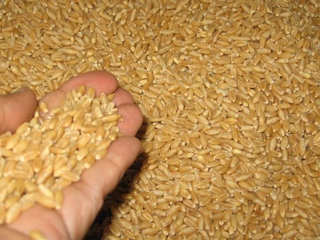 جس حسنِ عنایت سے چھنا گوشئہ رضوان