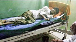 dengue