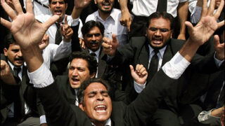 lawyers