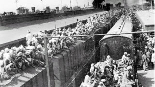 migration