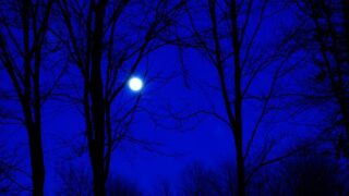 moonlight night