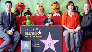 muppets star