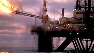 oil