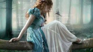 princess copy