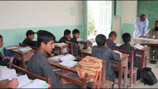 school