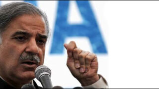 shahbaz