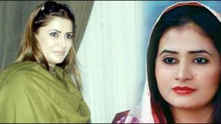 shahzia maree