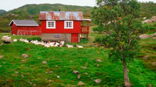 small house