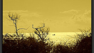 alone boat in water