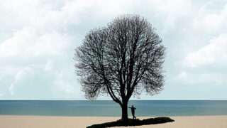 man standing under tree