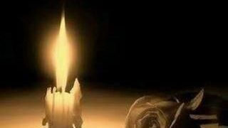 flower and candle