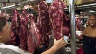 Meat