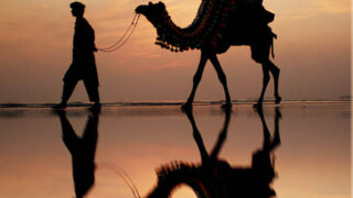travelling