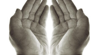 Praying Hands