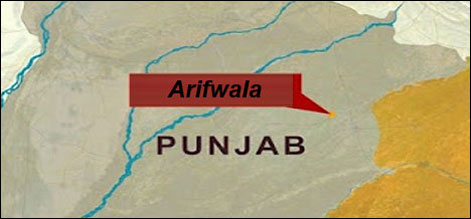 arifwala