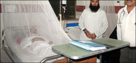 dengue
