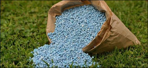 fertilizer