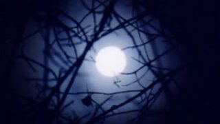 full moon