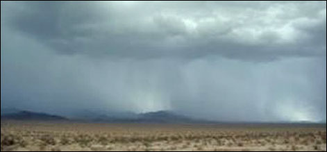 rain